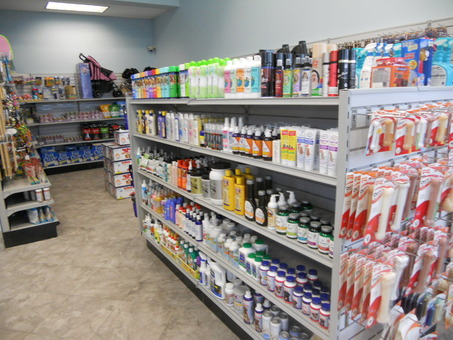 Businesses For Sale-Businesses For Sale-Retail Puppy Store-Buy a Business