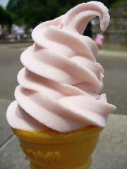 Businesses For Sale-Businesses For Sale-Ice Cream Truck Routes-Buy a Business