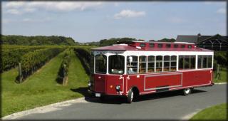 Businesses For Sale-Businesses For Sale-Unique Transportation and Tour Service-Buy a Business