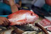 Businesses For Sale-Businesses For Sale-Seafood Restaurant-Buy a Business