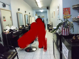 Businesses For Sale-Businesses For Sale-Bay Ridge Brooklyn Beau-Buy a Business