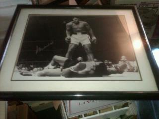 Businesses For Sale-Businesses For Sale-Online Sports Memorabil-Buy a Business