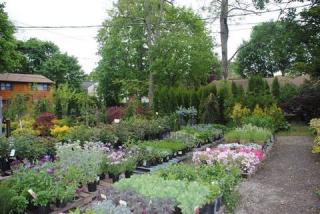 Businesses For Sale-Businesses For Sale-Garden Center-Buy a Business