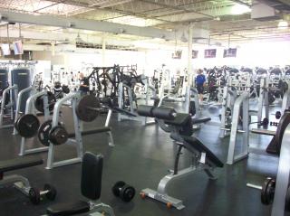 Businesses For Sale-Businesses For Sale-World Class Gym-Buy a Business