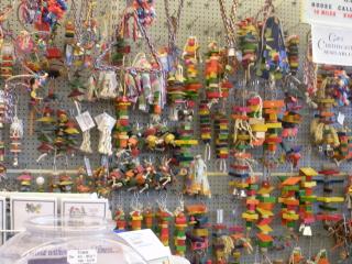 Businesses For Sale-Businesses For Sale-Exotic Bird Store-Buy a Business