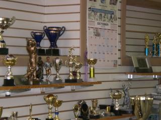 Businesses For Sale-Businesses For Sale-Successful Awards Troph-Buy a Business