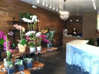 Businesses For Sale-Businesses For Sale-Beautiful high end flor-Buy a Business