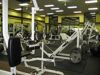 Businesses For Sale-Businesses For Sale-Health/Fitness -Buy a Business