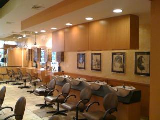 Businesses For Sale-Businesses For Sale-Upscale Hair Salon-Buy a Business
