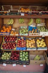 Businesses For Sale-Businesses For Sale-Profitable Ethnic City -Buy a Business