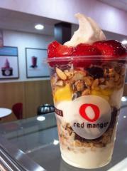 Businesses For Sale-Businesses For Sale-Yogurt Store Nationally-Buy a Business