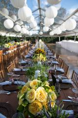 Businesses For Sale-Businesses For Sale-Premier Catering Company-Buy a Business