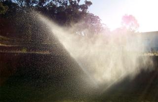 Businesses For Sale-Businesses For Sale-Irrigation and Landscap-Buy a Business