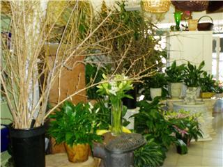 Businesses For Sale-Businesses For Sale-Beautiful Flower Shop-Buy a Business