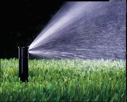 Businesses For Sale-Businesses For Sale-Lawn Irrigation Sales a-Buy a Business