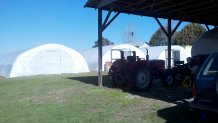 Businesses For Sale-Businesses For Sale-Horry County Nursery Bu-Buy a Business