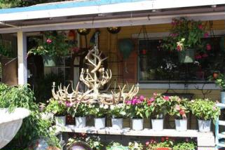 Businesses For Sale-Businesses For Sale-Lawn Garden and Gift Store-Buy a Business
