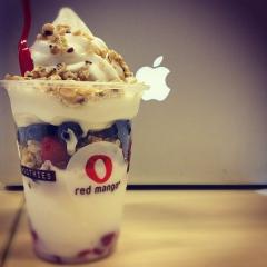 Frozen Yogurt Franchise Frozen Yogurt Franchise