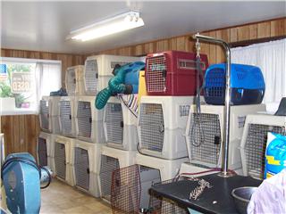 Dog Grooming Boarding Kennel Dog Grooming Boarding Kennel