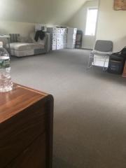 Extremely Profitable Carpet Cleaning