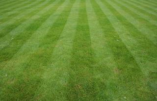 Busy Landscaping Company for sale in NY Busy Landscaping Company for sale in NY