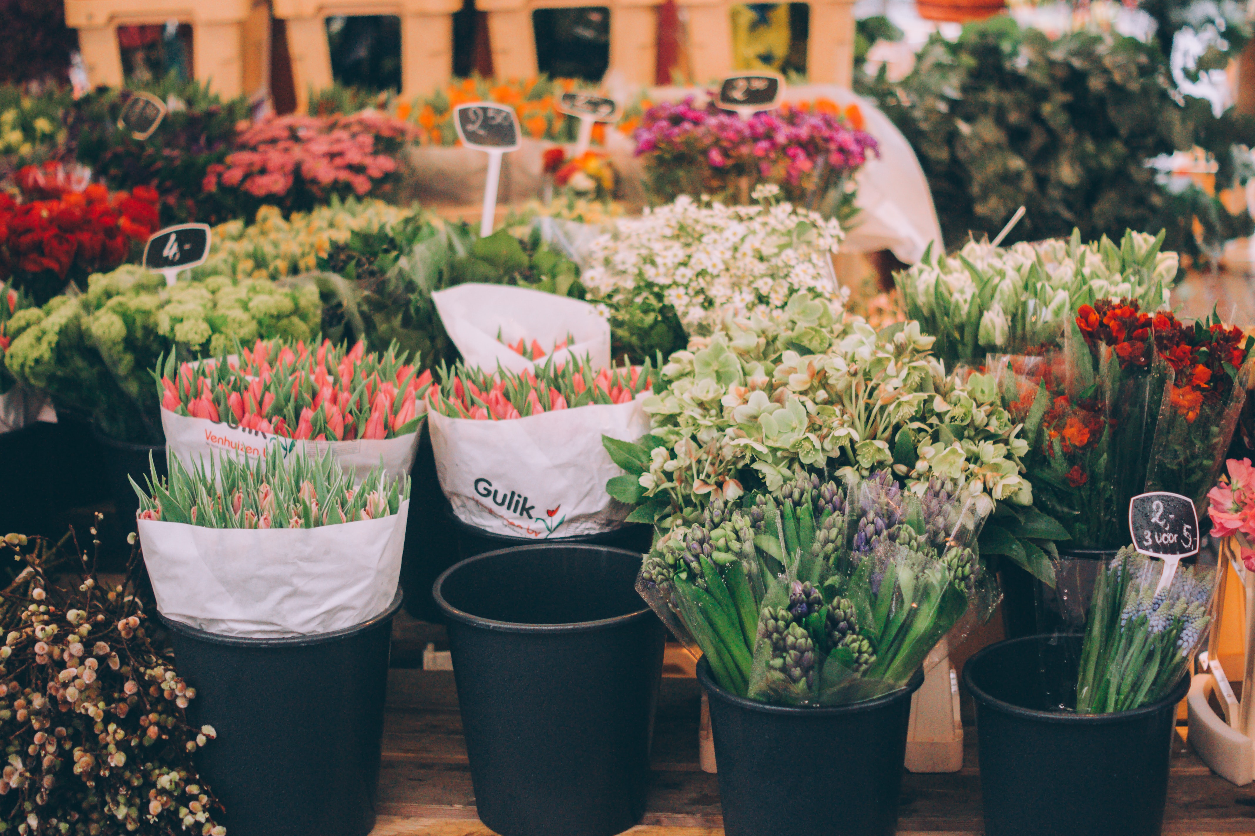 Fantastic Florist w/ Great Books