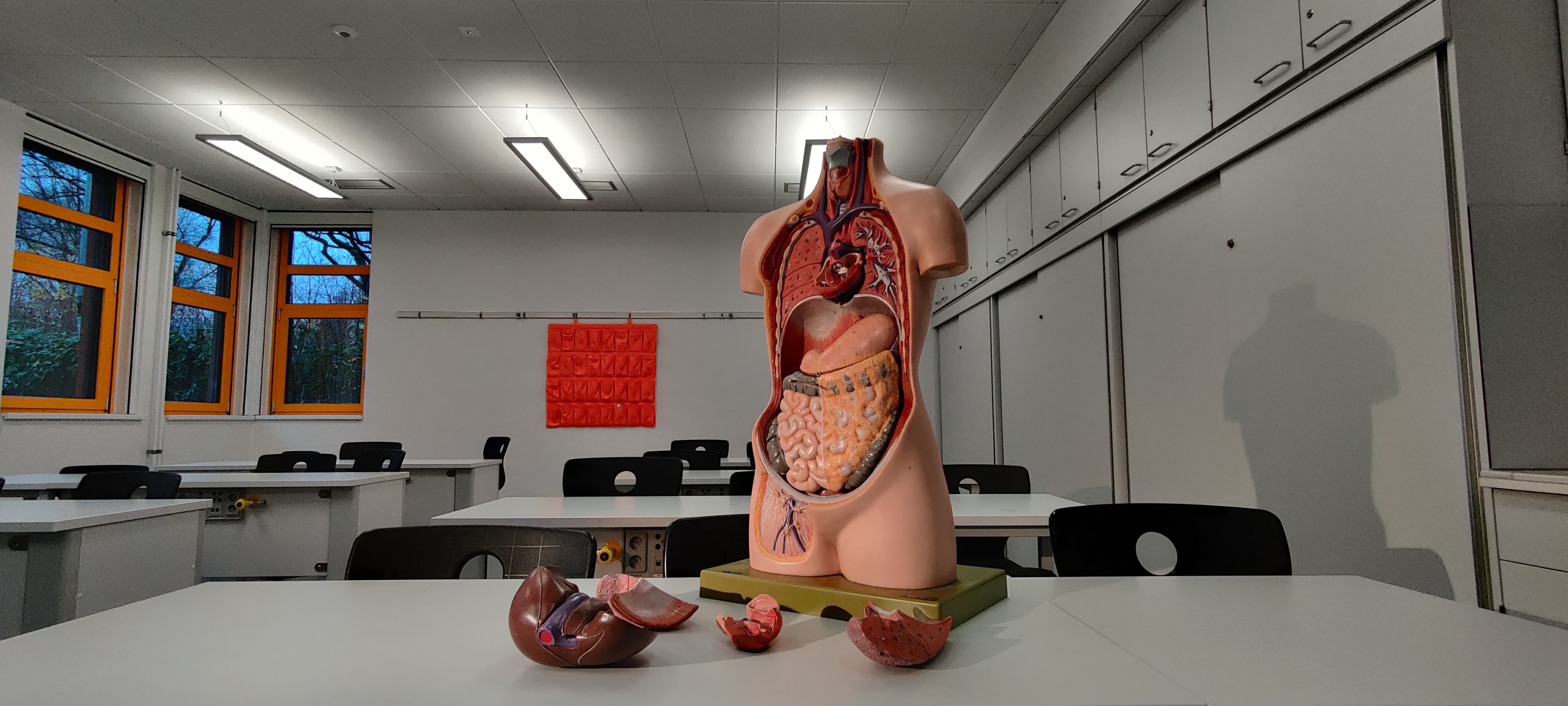 Health/Medical Vocation School License for sale Health/Medical Vocation School License for sale