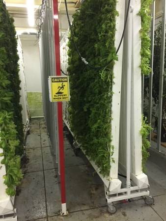 Hydroponic Equipment Assets For Sale in Massachuse