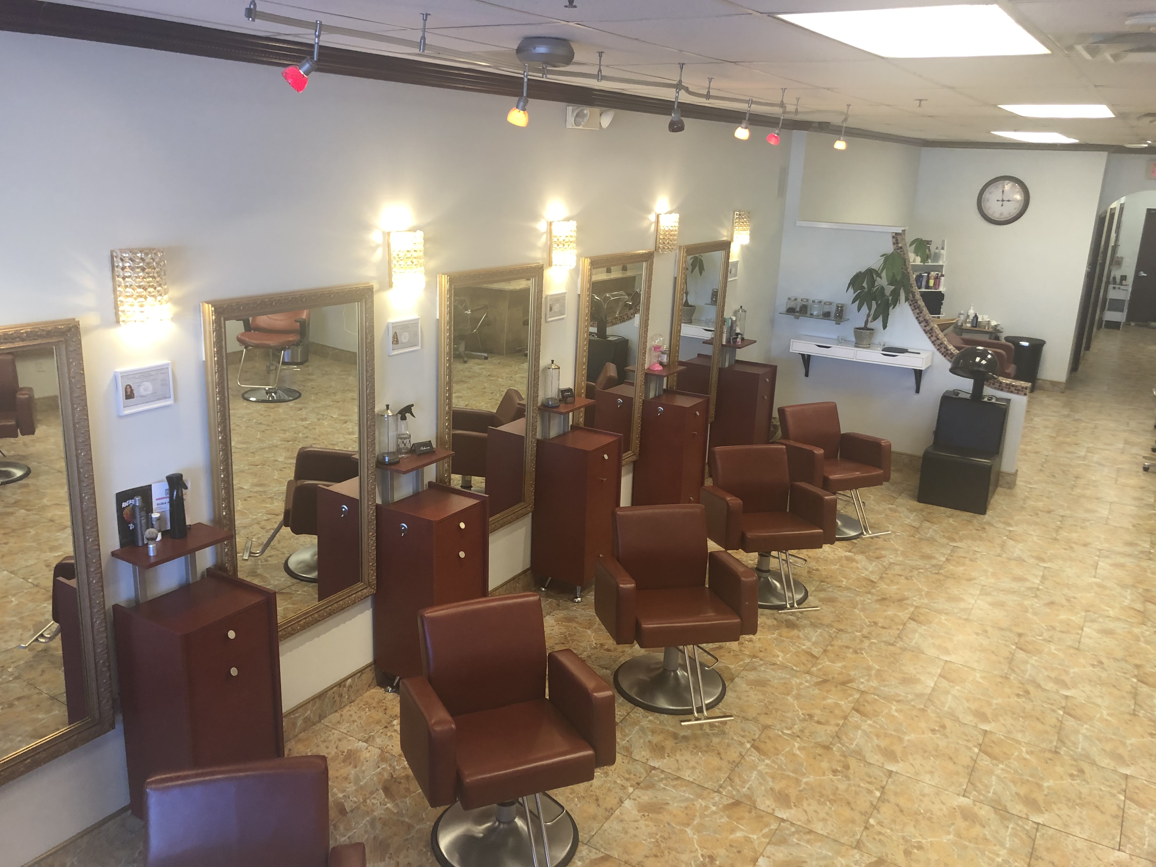 Luxury Full Service Salon & Spa For Sale in NY