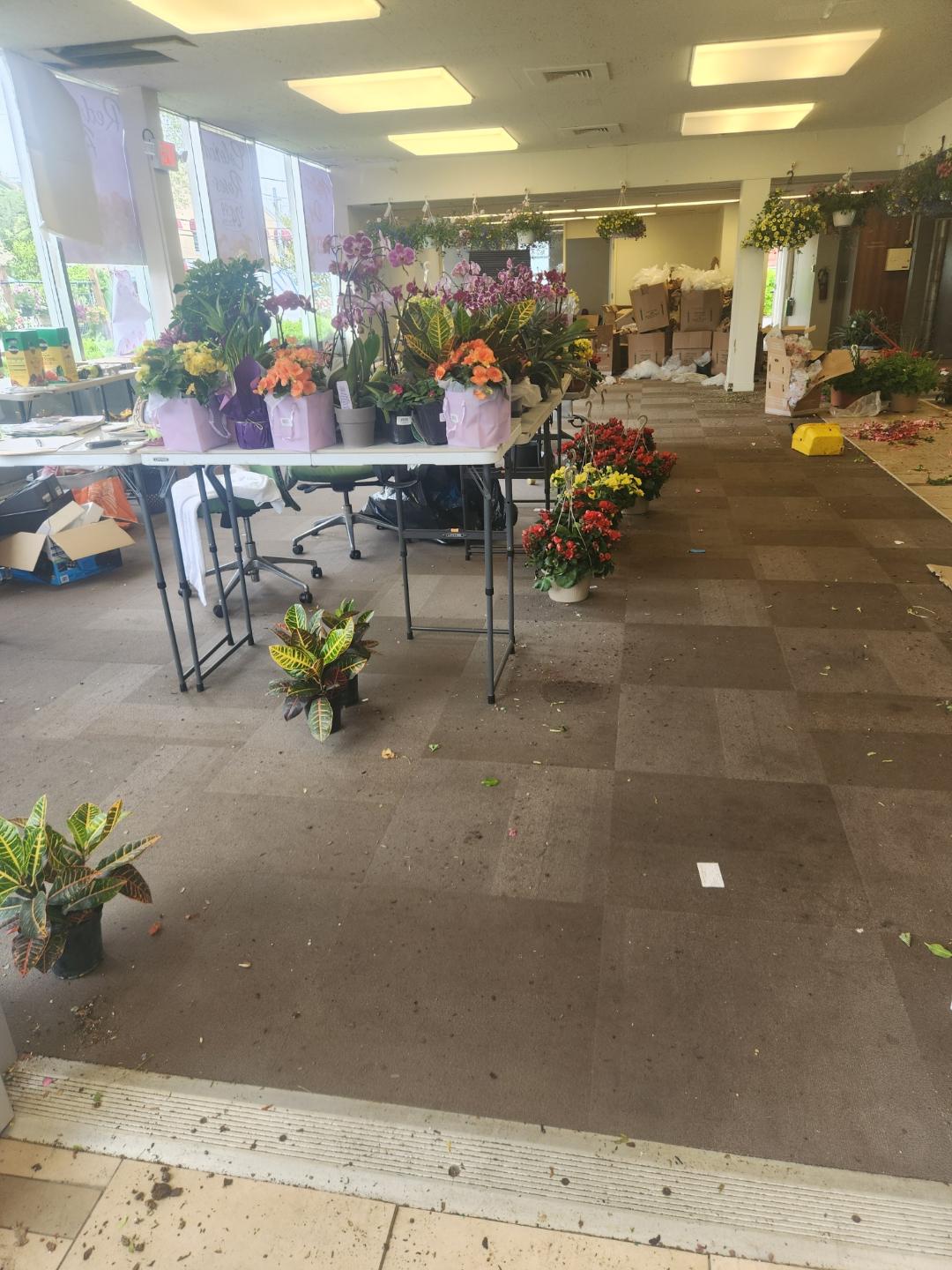 Nursery & Garden Center for Sale in New York For sale In New York