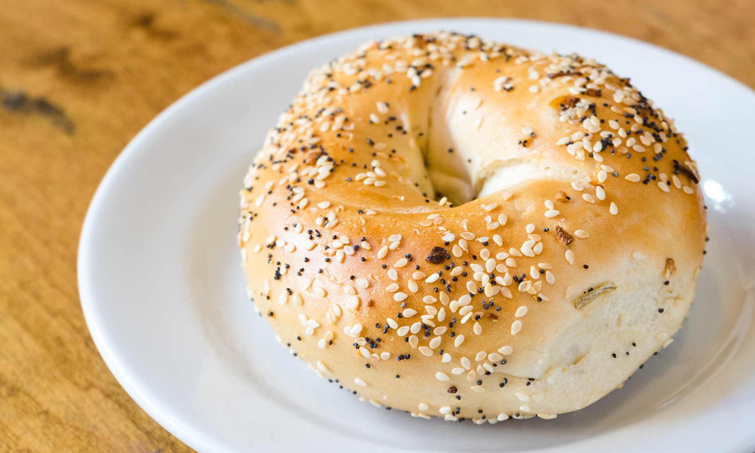 High Volume Bagel Store in Prime Location