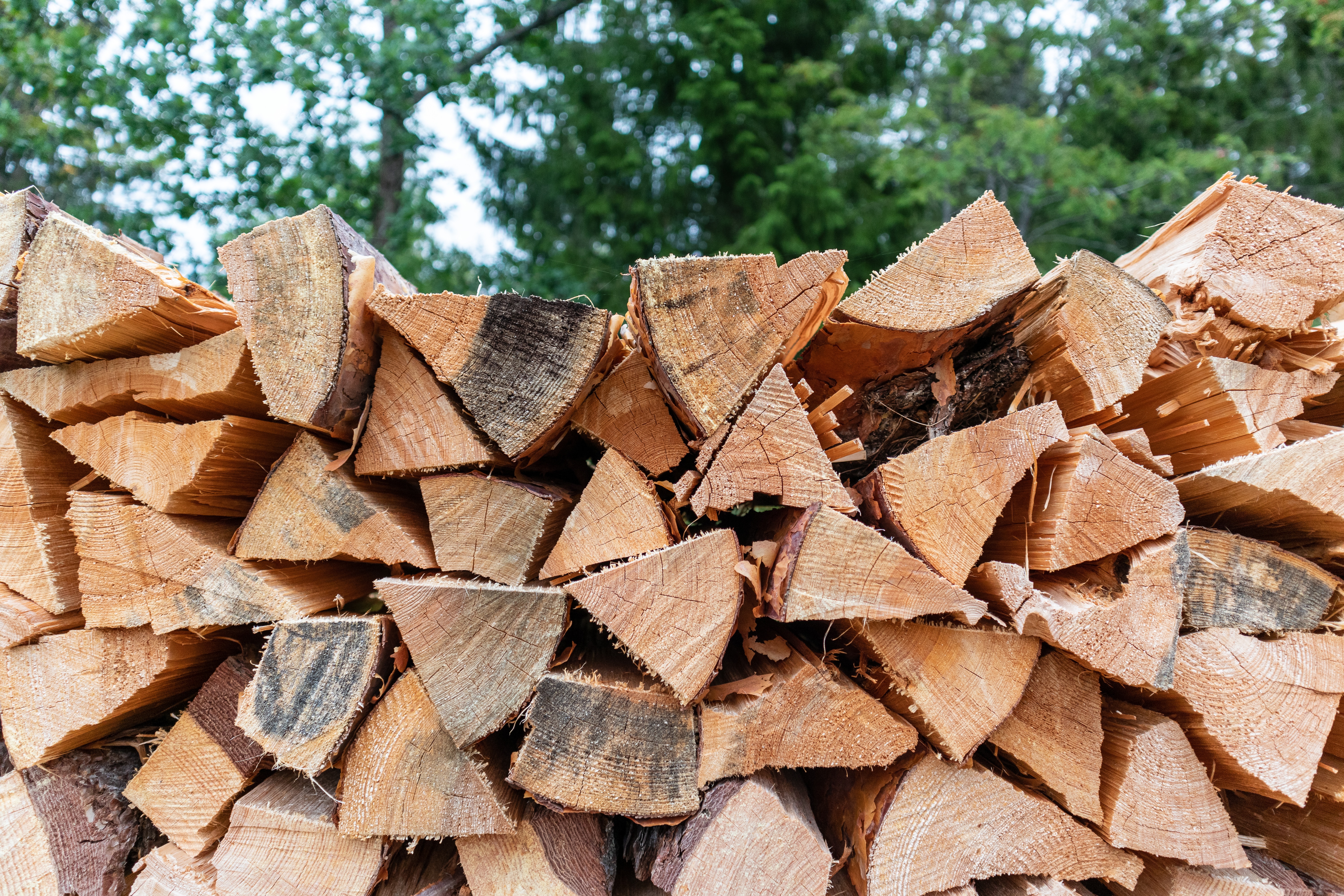 Firewood Business For Sale in NY