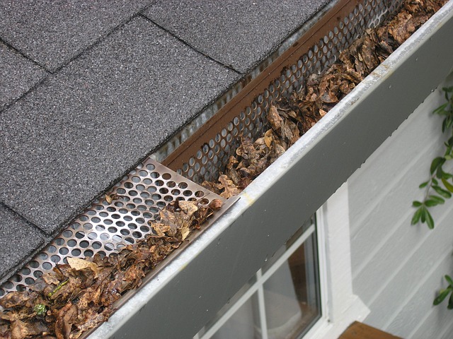 Highly Scalable Gutter Business for Sale in Texas