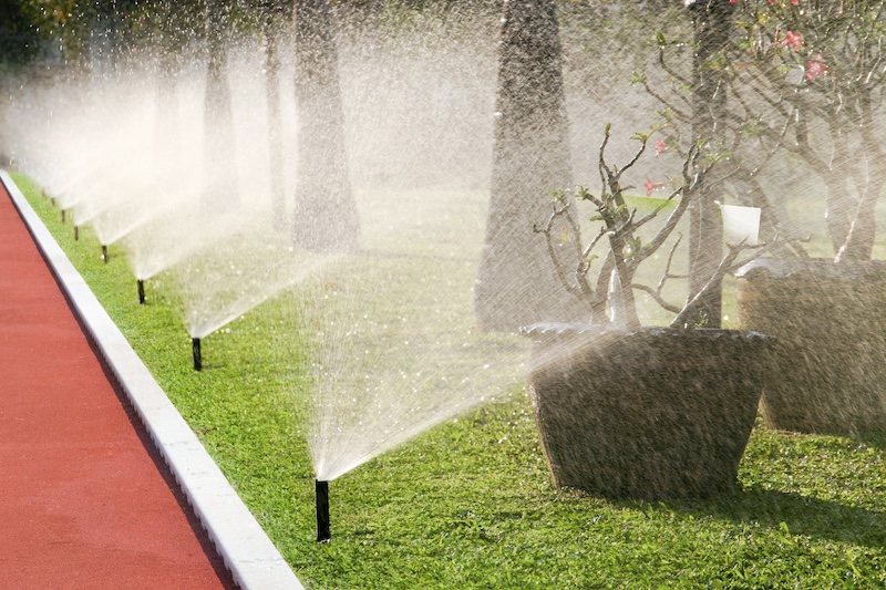 Home Based Irrigation Business in South Carolina