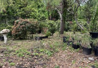 Landscaping Business Landscaping Business