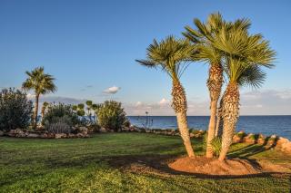 Landscaping Business Landscaping Business