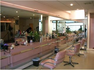 Elegant Stylish Salon Elegant Stylish Salon